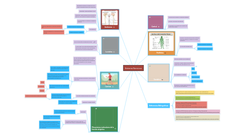 Mind Map: Sistema Nervioso.