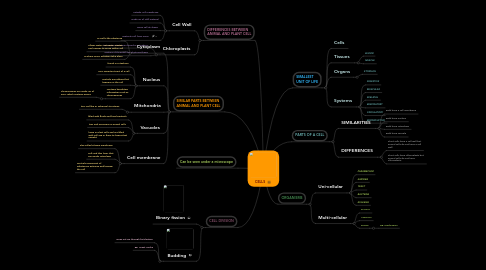 Mind Map: CELLS