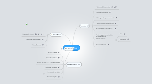 Mind Map: Proyecto Final 1