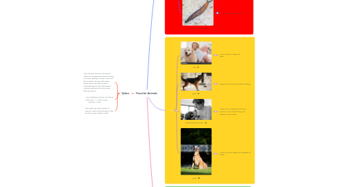 Mind Map: Favorite Animals