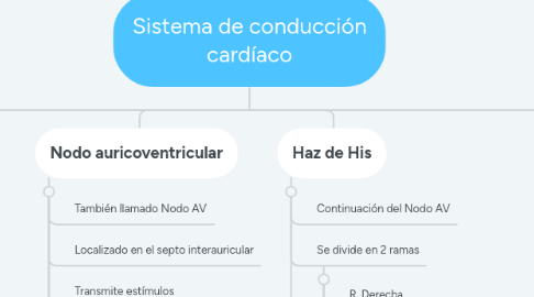 Mind Map: Sistema de conducción cardíaco