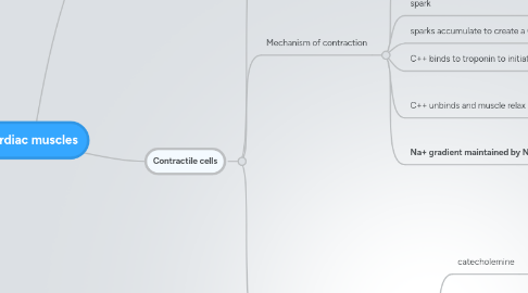 Mind Map: Cardiac muscles