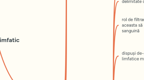 Mind Map: **Sistemul limfatic**