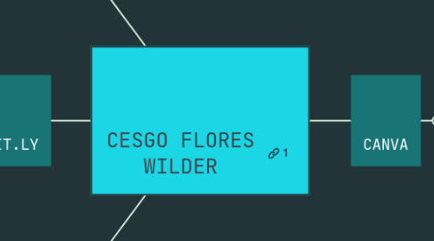 Mind Map: CESGO FLORES WILDER