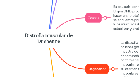 Mind Map: Distrofia muscular de Duchenne