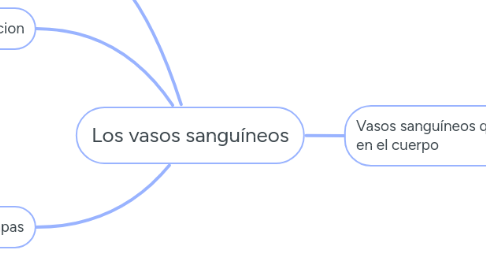 Mind Map: Los vasos sanguíneos