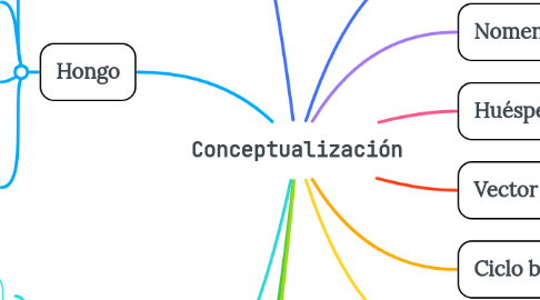 Mind Map: Conceptualización