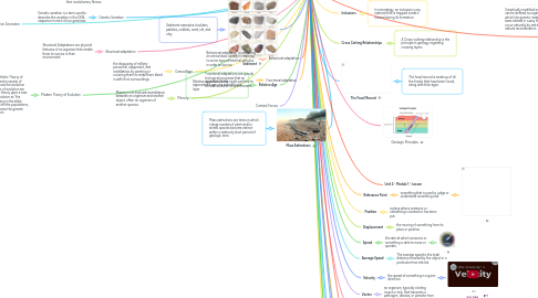 Mind Map: Vocabulary Terms