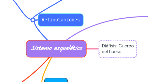 Mind Map: Sistema esquelético