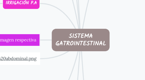 Mind Map: SISTEMA GATROINTESTINAL