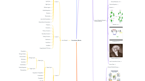 Mind Map: Vocabulary Words