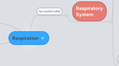 Mind Map: Respiration