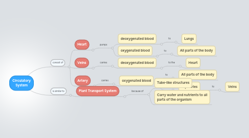 Mind Map: Circulatory System