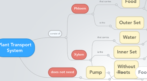 Mind Map: Plant Transport System