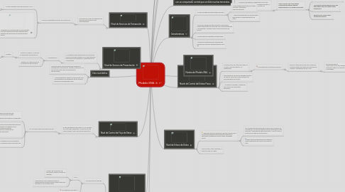 Mind Map: Modelo SNA