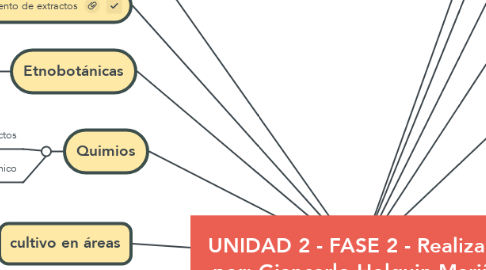 Mind Map: UNIDAD 2 - FASE 2 - Realizado por: Giancarlo Holguin Mariño