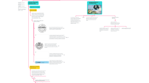 Mind Map: SISTEMAS INTERNACIONALES