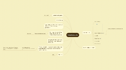 Mind Map: Naturkatastofer