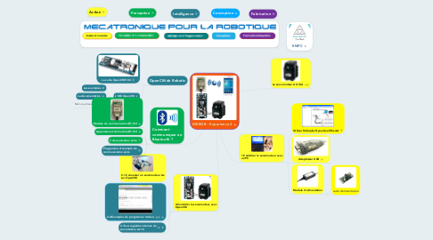 Mind Map: MEROB - Experience 2