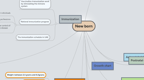 Mind Map: New born