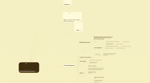 Mind Map: Familia Enterobacteriaceae