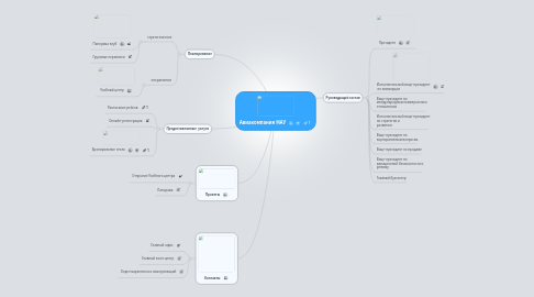 Mind Map: Авиакомпания МАУ