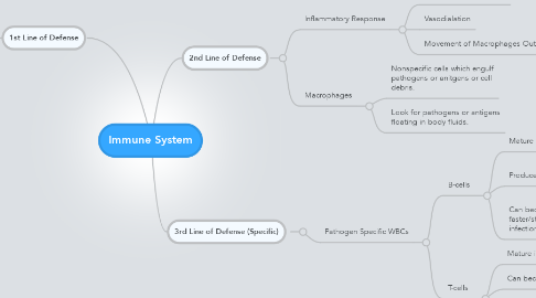 Mind Map: Immune System