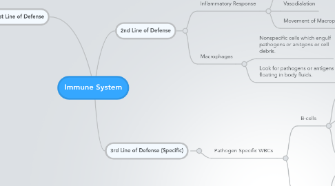 Mind Map: Immune System