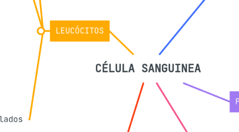 Mind Map: CÉLULA SANGUINEA