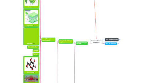 Mind Map: 7th Grade Science Vocabulary