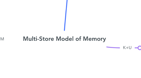 Mind Map: Multi-Store Model of Memory