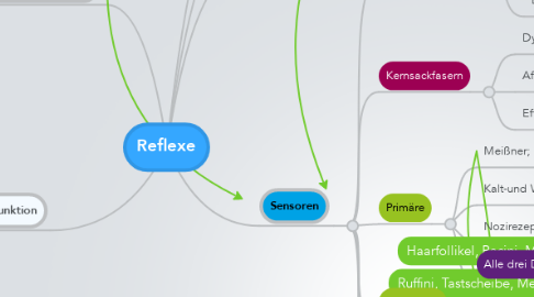 Mind Map: Reflexe