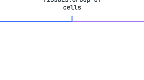 Mind Map: TISSUES:Group of cells