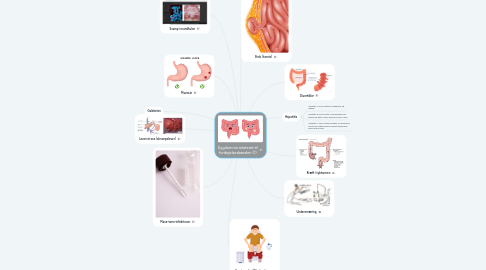 Mind Map: Sygdomme relateret til fordøjelseskanalen (1)