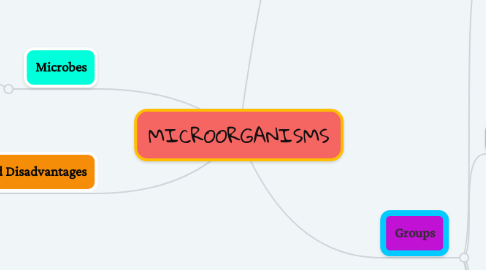 Mind Map: MICROORGANISMS
