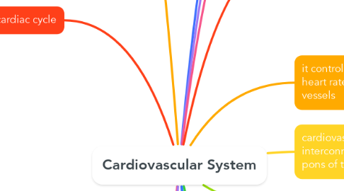 Mind Map: Cardiovascular System