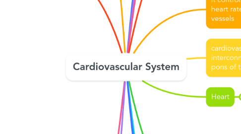 Mind Map: Cardiovascular System