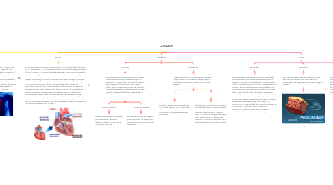 Mind Map: CORAZÓN