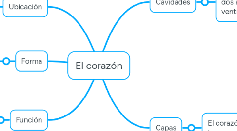 Mind Map: El corazón