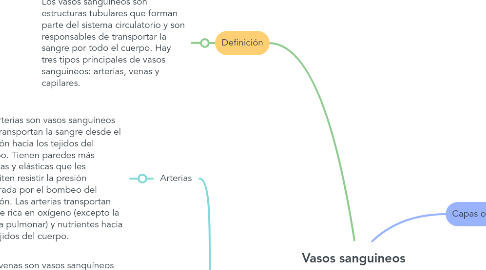 Mind Map: Vasos sanguineos