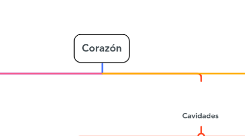 Mind Map: Corazón