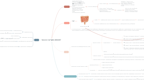 Mind Map: Брюшной тиф (typhus abdominalis)