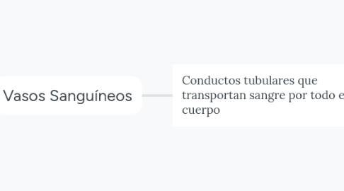 Mind Map: Vasos Sanguíneos