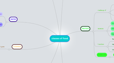 Mind Map: classes of food