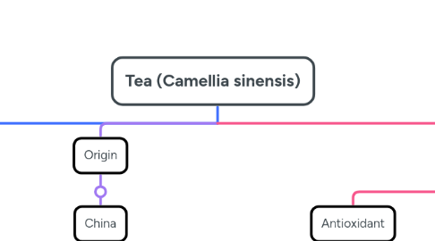 Mind Map: Tea (Camellia sinensis)