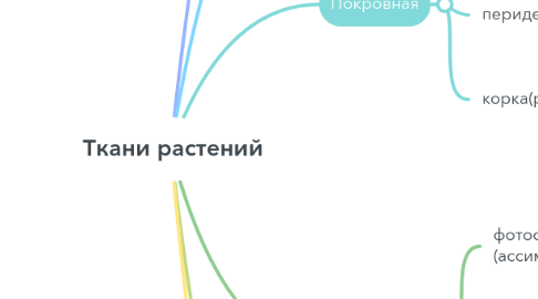 Mind Map: Ткани растений