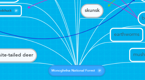 Mind Map: Monoghelna National Forest