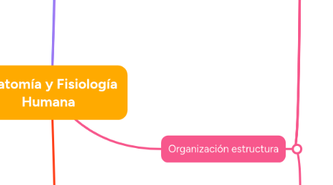 Mind Map: Anatomía y Fisiología Humana