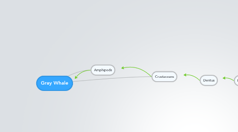 Mind Map: Gray Whale