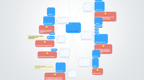 Mind Map: EL CUERPO HUMANO